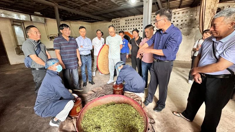 关于德宏州首次德昂酸茶加工技术培训在芒市举办的消息(6)