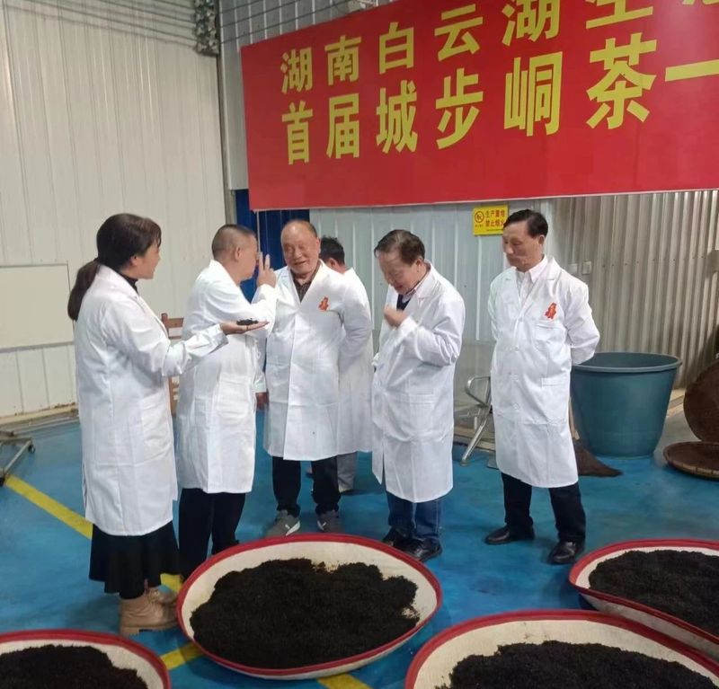 关于老书记深山探“宝”，调研苗乡城步峒茶高质量发展的相关内容(3)