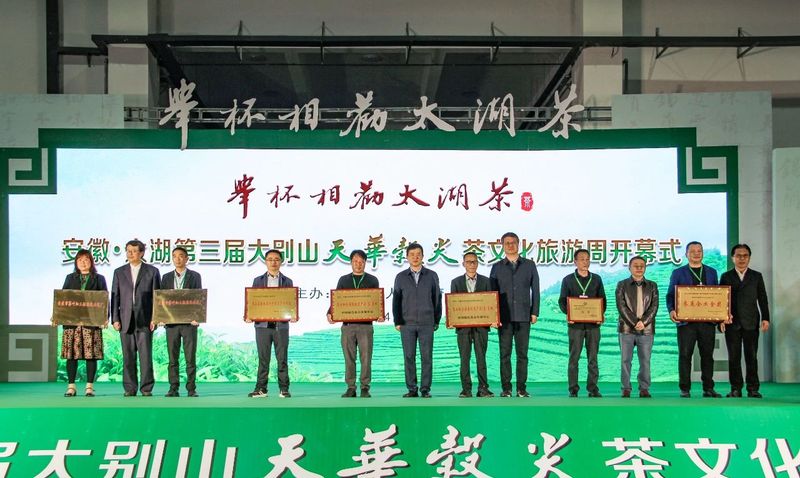 有关于“举杯相劝太湖茶”——安徽·太湖第三届大别山天华谷尖茶文化旅游周启幕的内容(2)