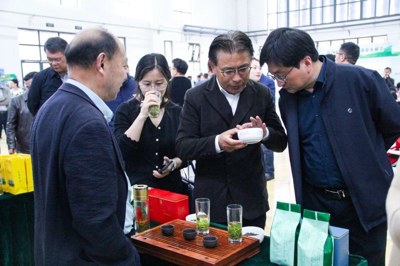 有关于“举杯相劝太湖茶”——安徽·太湖第三届大别山天华谷尖茶文化旅游周启幕的内容(5)