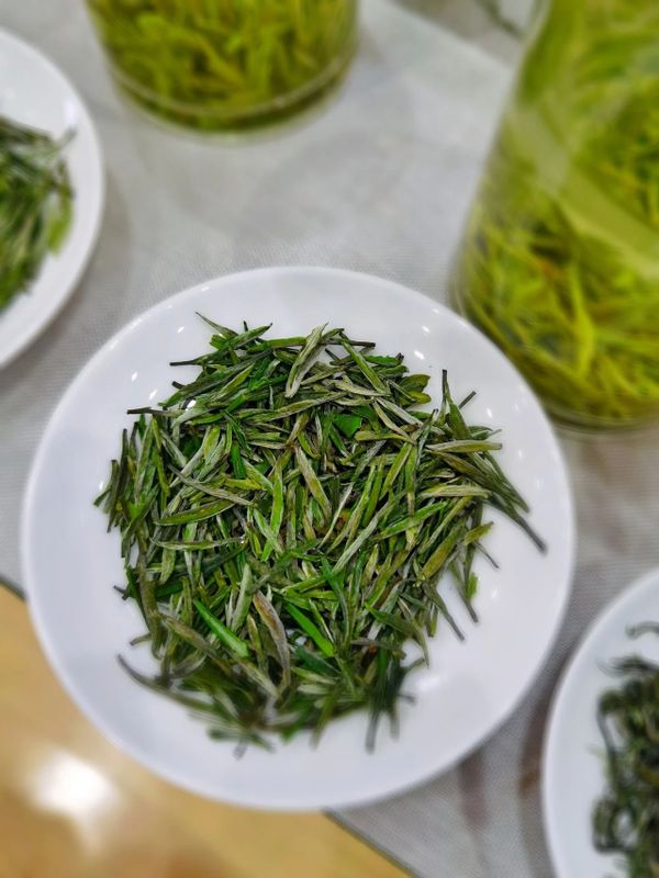 有关于“举杯相劝太湖茶”——安徽·太湖第三届大别山天华谷尖茶文化旅游周启幕的内容(6)