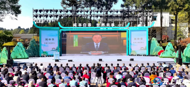 关于第二届咸丰白茶文化节暨白化茶产业交流活动开幕的资讯(1)