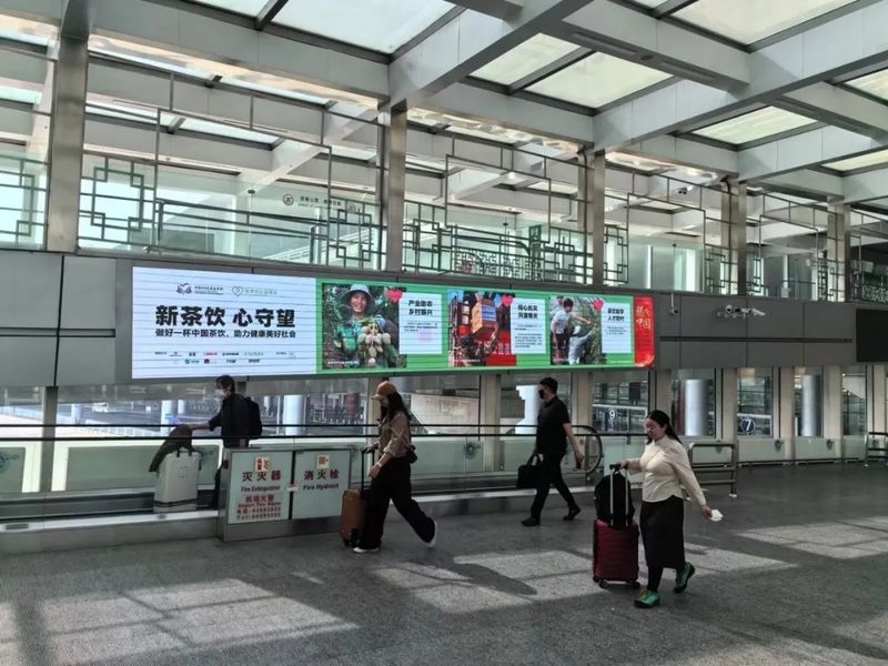 关于新茶饮大动作！10家头部品牌开启“科技小院”，这是什么项目？的相关内容(4)