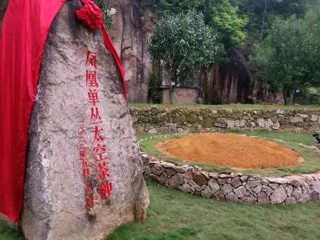 有关于筑梦苍穹！中国茶的太空征途的新闻(7)