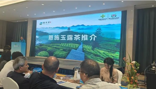有关于湖北茶叶跨界组团宁波吆喝！两地深度联动促进“三茶融合”的内容(3)