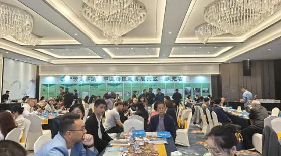 有关于湖北茶叶跨界组团宁波吆喝！两地深度联动促进“三茶融合”的内容