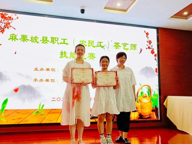 关于茶韵麻栗坡系列报道（二）麻栗坡茶：小小“绿叶子 ”鼓圆“钱袋子”的相关信息(7)