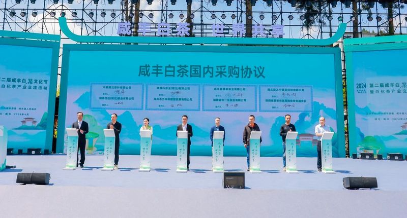 有关于科技、品质、创新多维赋能：站上风口的白化茶如何迎来华丽升级？的新闻(11)