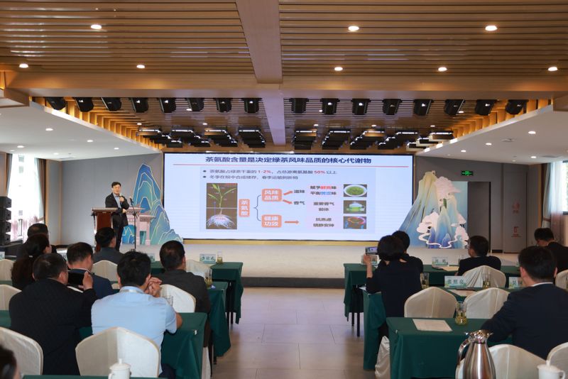 有关于科技、品质、创新多维赋能：站上风口的白化茶如何迎来华丽升级？的新闻(15)