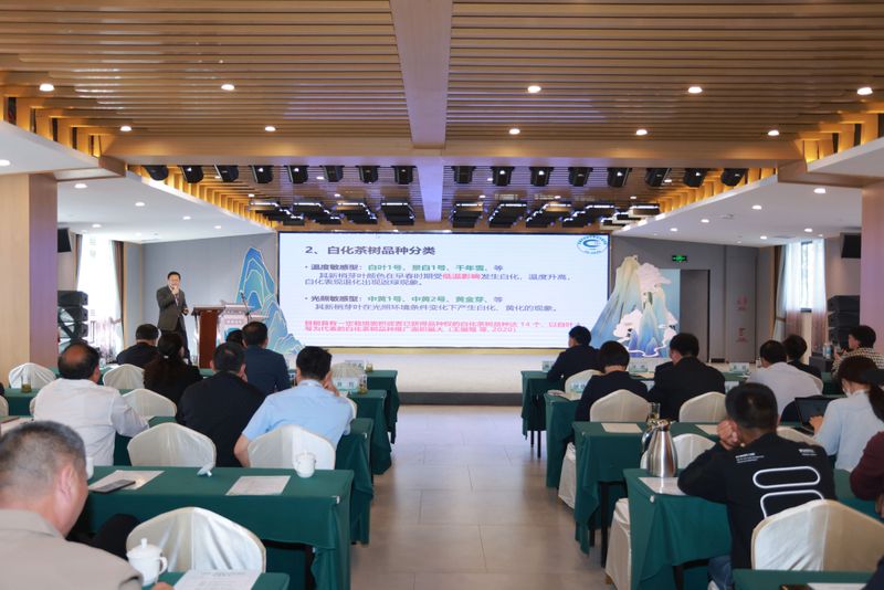 有关于科技、品质、创新多维赋能：站上风口的白化茶如何迎来华丽升级？的新闻(16)