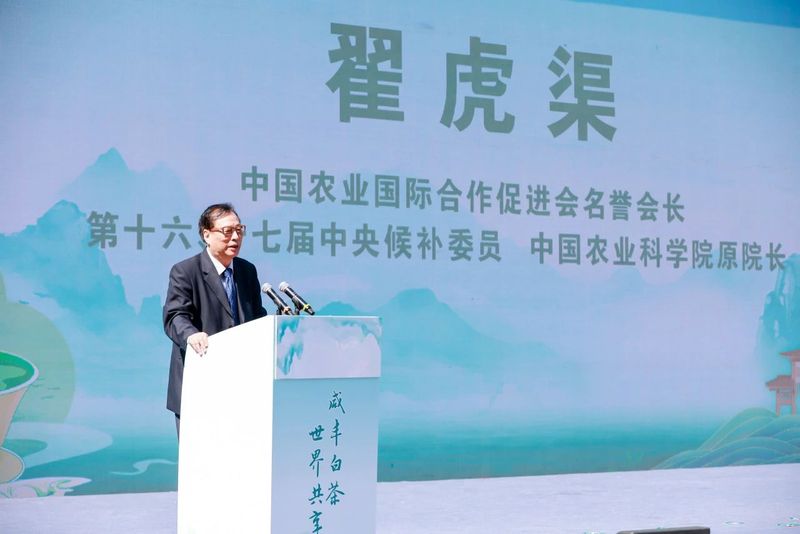 有关于科技、品质、创新多维赋能：站上风口的白化茶如何迎来华丽升级？的新闻(4)