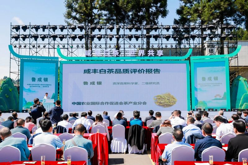 有关于科技、品质、创新多维赋能：站上风口的白化茶如何迎来华丽升级？的新闻(6)