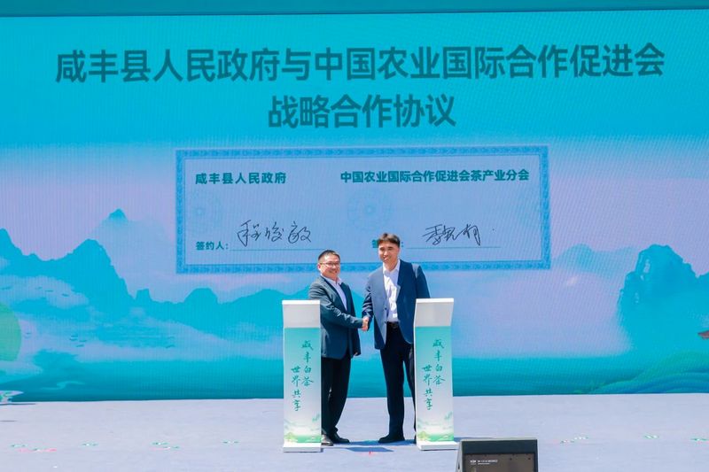 有关于科技、品质、创新多维赋能：站上风口的白化茶如何迎来华丽升级？的新闻(9)