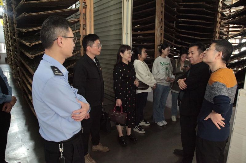 关于宁德福鼎：“检察+知产”，共护白茶产业高质量发展的消息(5)