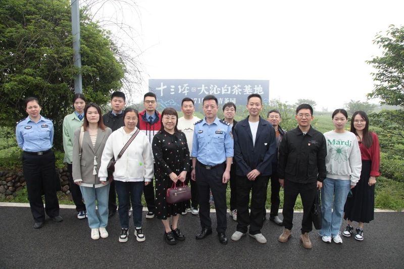 关于宁德福鼎：“检察+知产”，共护白茶产业高质量发展的消息(1)