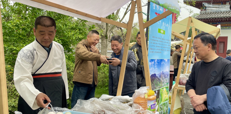 关于南川最古茶树龄2700岁 古树茶产业化助力乡村振兴的相关信息(1)