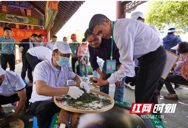 关于“茶香”竞技，第二届“沩山毛尖”杯手工制茶大赛举办的最新消息(1)