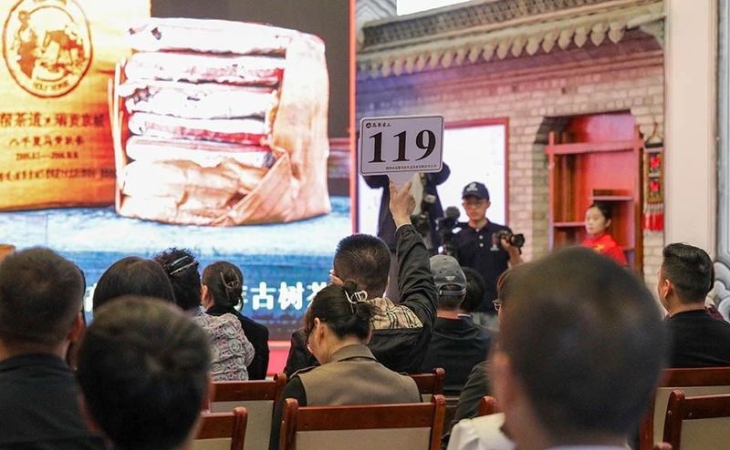 有关于高黎贡山普洱茶竞拍唤醒茶马古道记忆的内容(1)