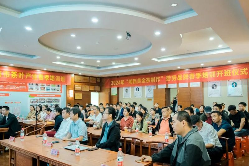 关于2024年吉首市茶叶产业春季培训班圆满结束的相关内容