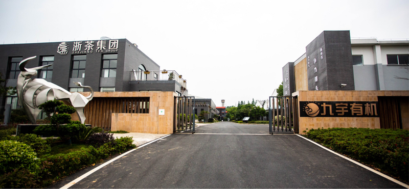 关于高静：向下扎根，向上生长，以求真务实的姿态书写企业优异的答卷的相关内容