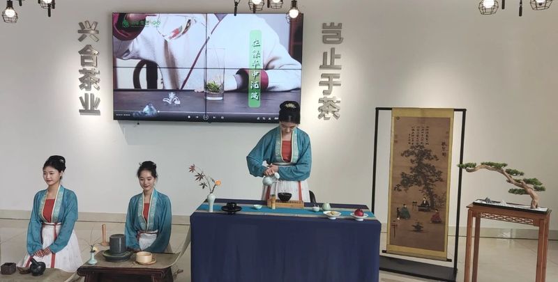 有关于科技人才与特色产业互动助力安吉白茶产业更好发展的消息(3)