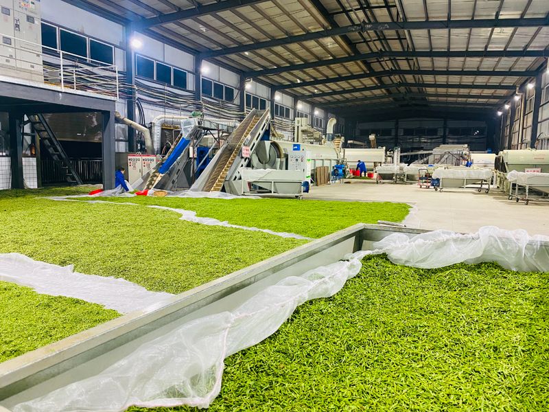 有关于沐川“质”干劲 “认养”新模式为茶产业发展注入新活力的内容(2)