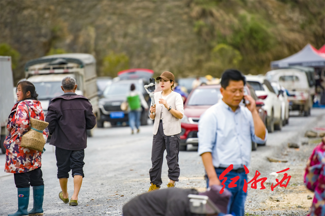 关于湖南湘西保靖：茶山茶路，长出“茶市”的内容(5)