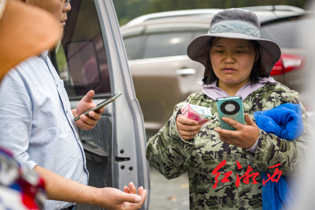 关于湖南湘西保靖：茶山茶路，长出“茶市”的内容(8)