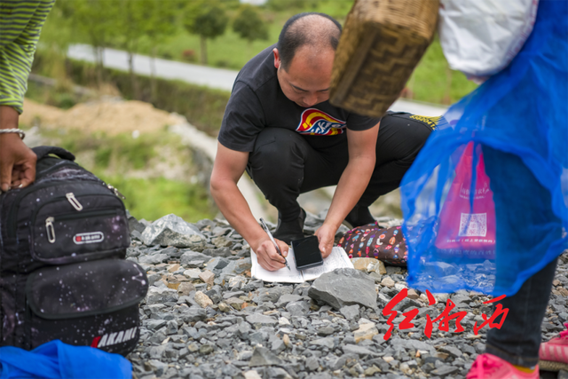 关于湖南湘西保靖：茶山茶路，长出“茶市”的内容(1)