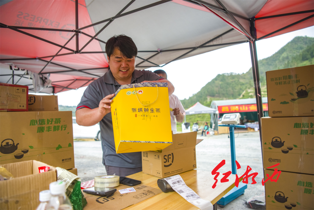 关于湖南湘西保靖：茶山茶路，长出“茶市”的内容(6)