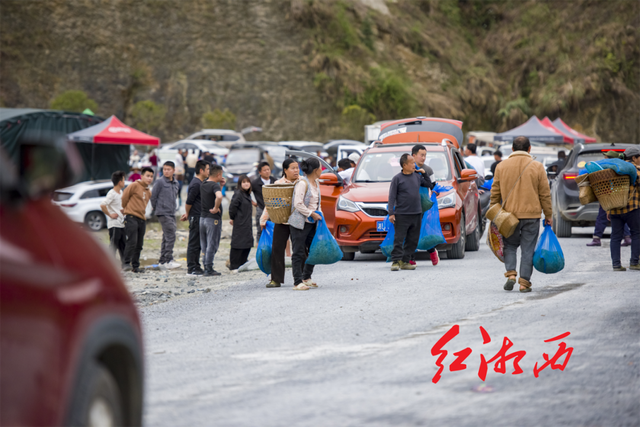 关于湖南湘西保靖：茶山茶路，长出“茶市”的内容(2)