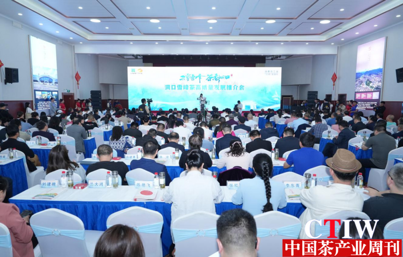 有关于云雾雪峰 茶香洞口——洞口雪峰茶高质量发展推介会成功举办的相关信息