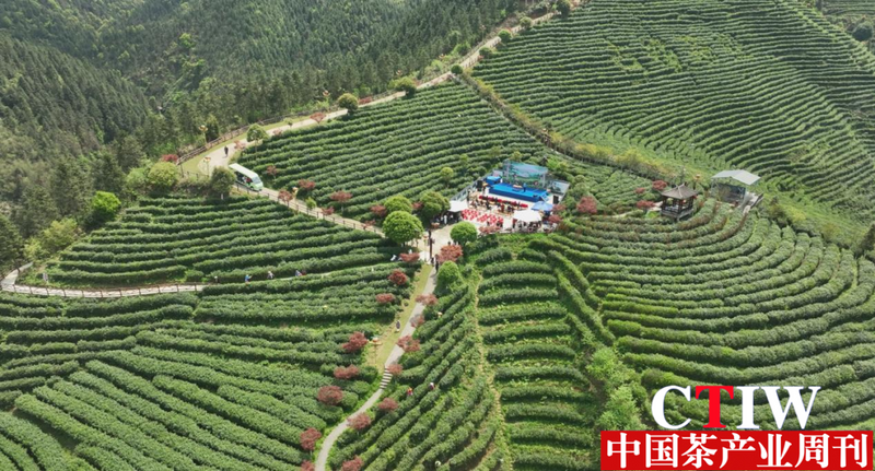 有关于云雾雪峰 茶香洞口——洞口雪峰茶高质量发展推介会成功举办的相关信息(1)