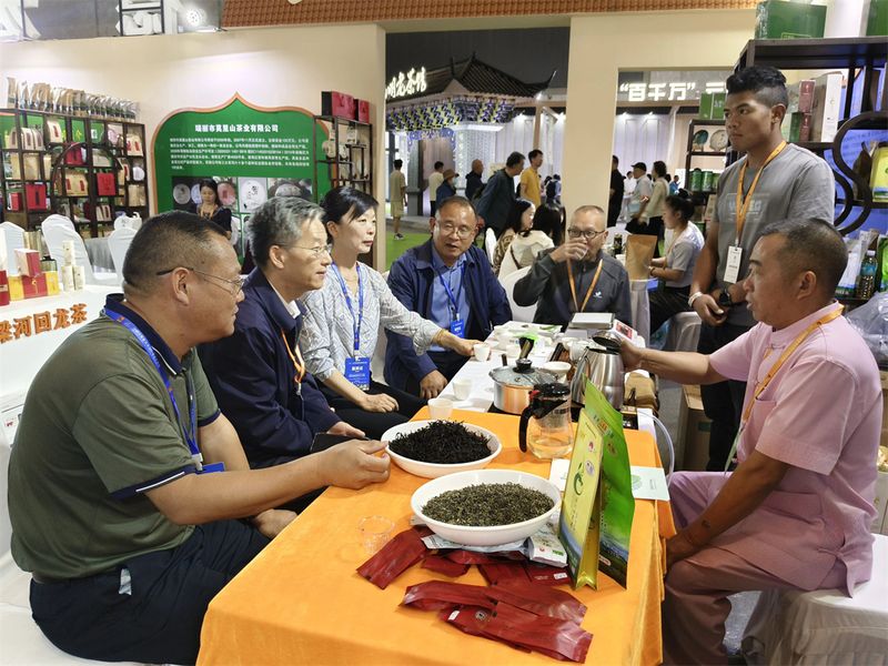 关于“德宏茶”绽放茶博会 成果喜人的最新消息(5)