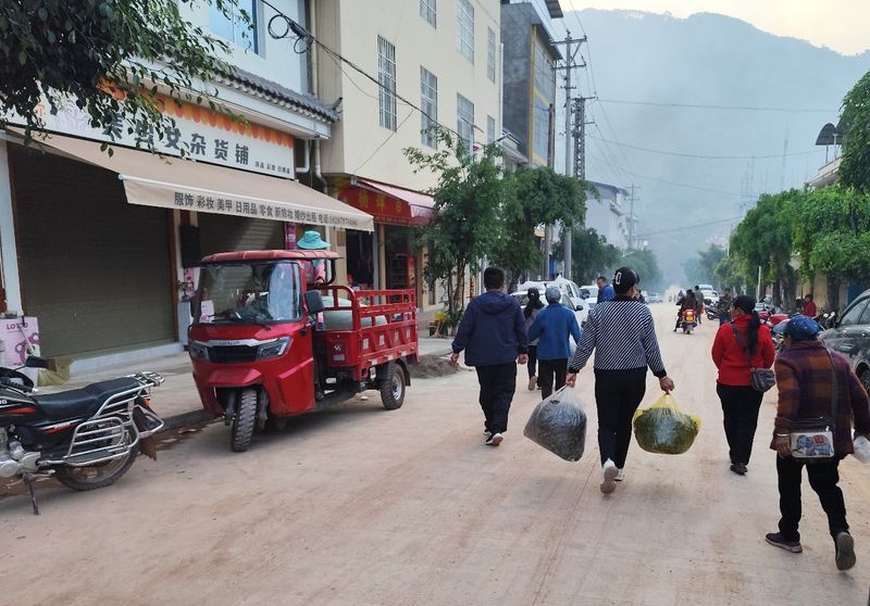 关于“小茶叶”做“大文章”——凤山镇茶叶交易市场初成型！的内容(4)