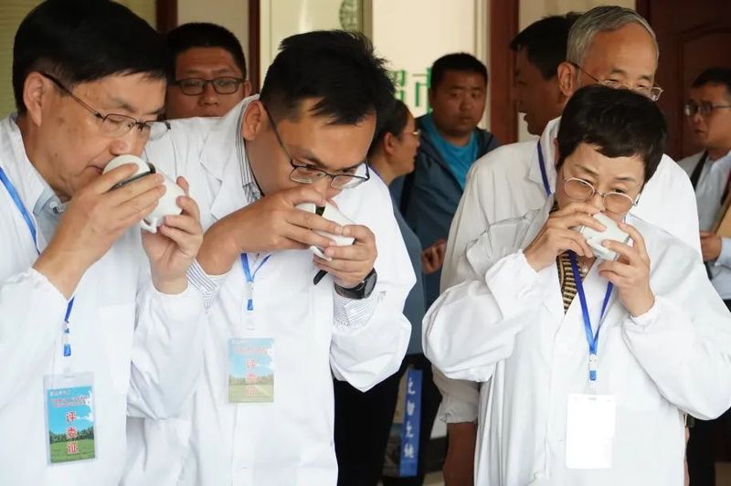 关于祭茶祖、比炒茶、赛茶艺，这个文化节还有多少惊喜？的相关内容(10)