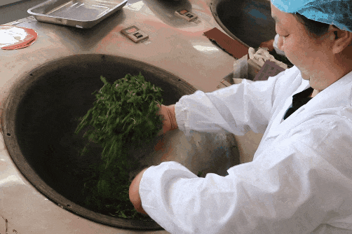 关于祭茶祖、比炒茶、赛茶艺，这个文化节还有多少惊喜？的相关内容(9)