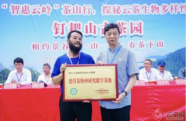 有关于助力乡村振兴 “智惠云岭”茶山行·钉耙山“春茶下山”活动在云南景谷举办的信息(1)