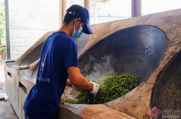 有关于助力乡村振兴 “智惠云岭”茶山行·钉耙山“春茶下山”活动在云南景谷举办的信息(2)