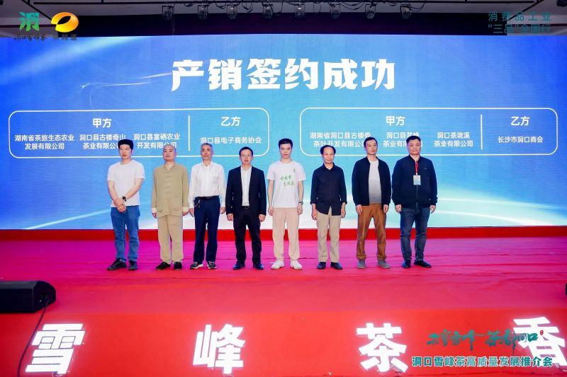 有关于云雾雪峰 茶香洞口——洞口雪峰茶高质量发展推介会在邵阳洞口成功举行的内容(21)