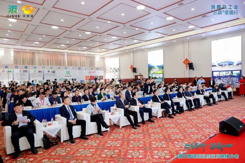 有关于云雾雪峰 茶香洞口——洞口雪峰茶高质量发展推介会在邵阳洞口成功举行的内容(2)