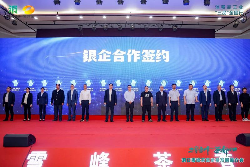 有关于云雾雪峰 茶香洞口——洞口雪峰茶高质量发展推介会在邵阳洞口成功举行的内容(22)