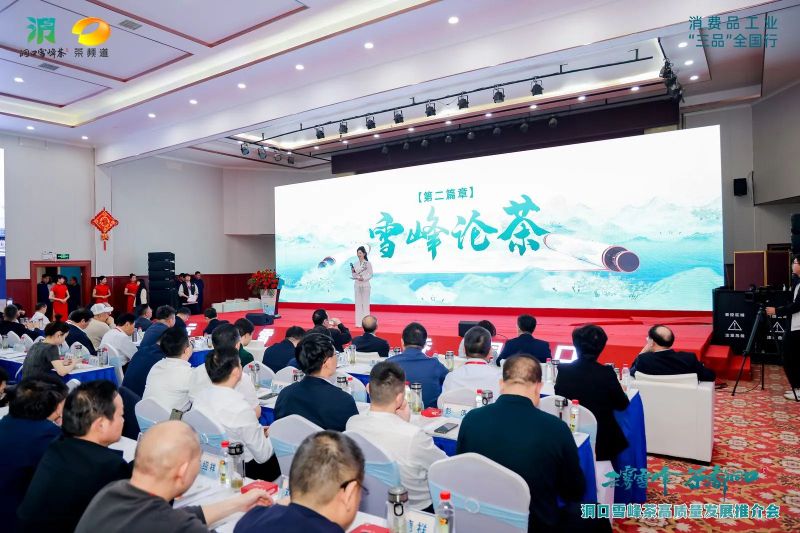 有关于云雾雪峰 茶香洞口——洞口雪峰茶高质量发展推介会在邵阳洞口成功举行的内容(25)