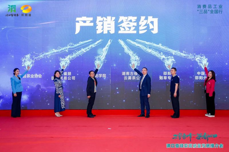 有关于云雾雪峰 茶香洞口——洞口雪峰茶高质量发展推介会在邵阳洞口成功举行的内容(20)