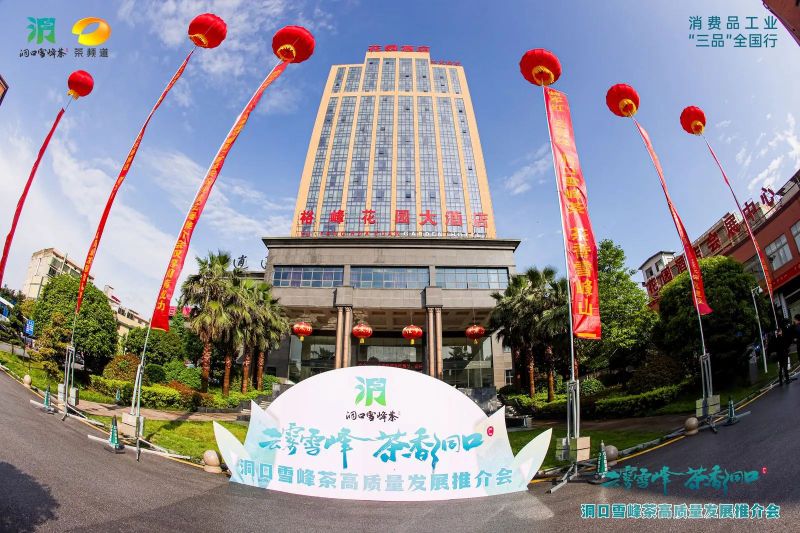 有关于云雾雪峰 茶香洞口——洞口雪峰茶高质量发展推介会在邵阳洞口成功举行的内容