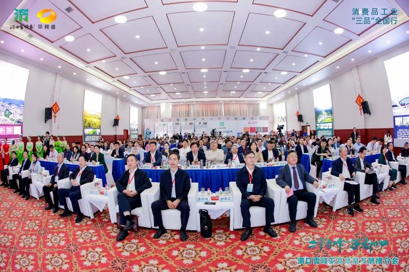 有关于云雾雪峰 茶香洞口——洞口雪峰茶高质量发展推介会在邵阳洞口成功举行的内容(9)