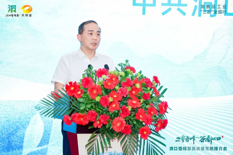 有关于云雾雪峰 茶香洞口——洞口雪峰茶高质量发展推介会在邵阳洞口成功举行的内容(15)