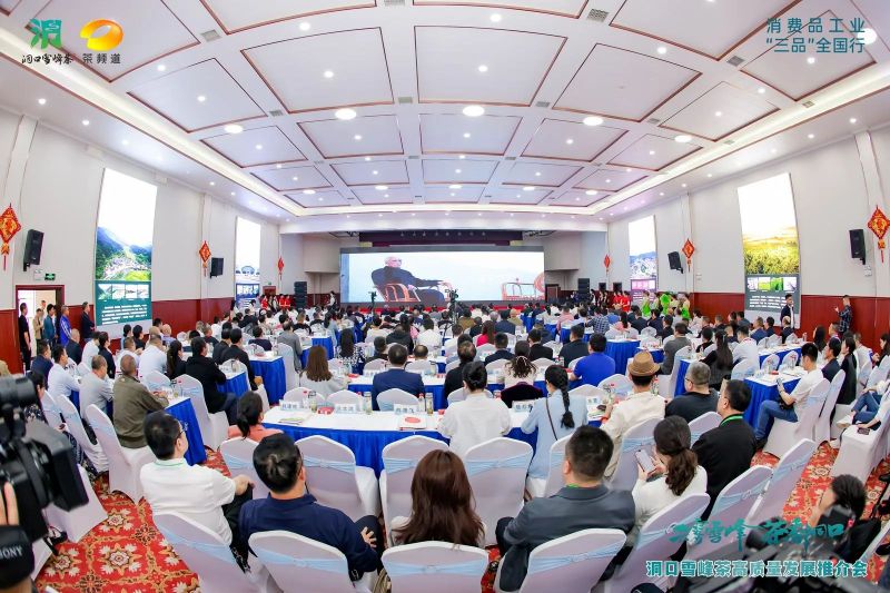 有关于云雾雪峰 茶香洞口——洞口雪峰茶高质量发展推介会在邵阳洞口成功举行的内容(10)