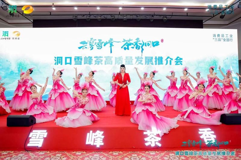 有关于云雾雪峰 茶香洞口——洞口雪峰茶高质量发展推介会在邵阳洞口成功举行的内容(29)