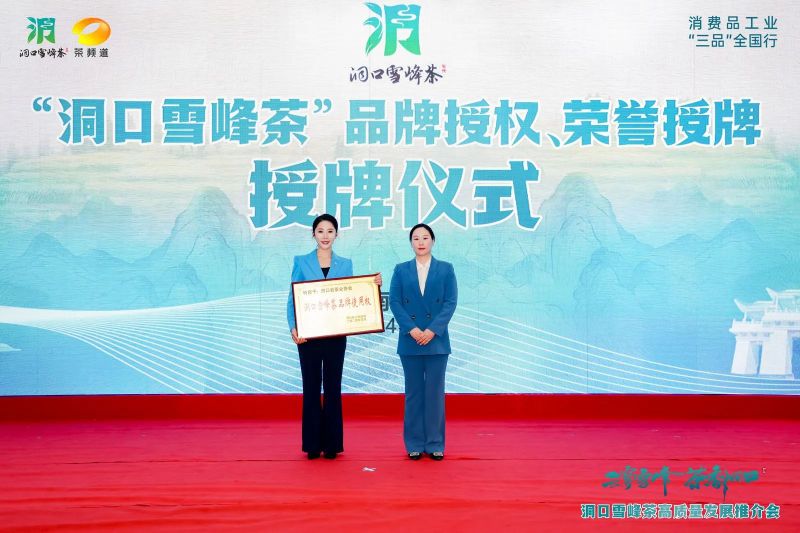 有关于云雾雪峰 茶香洞口——洞口雪峰茶高质量发展推介会在邵阳洞口成功举行的内容(17)